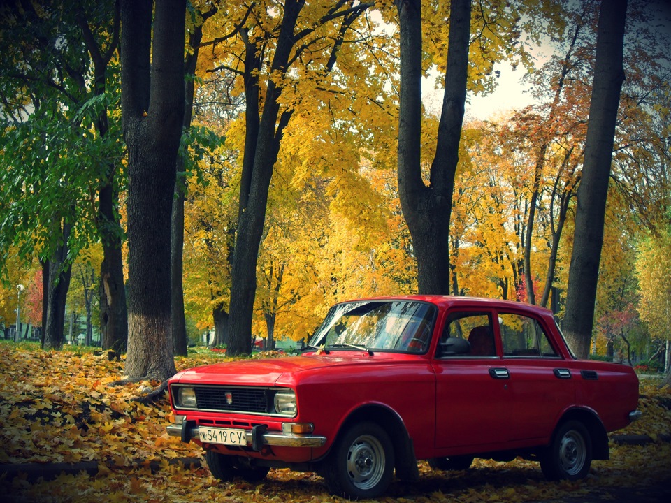 Осінній фотосет 1