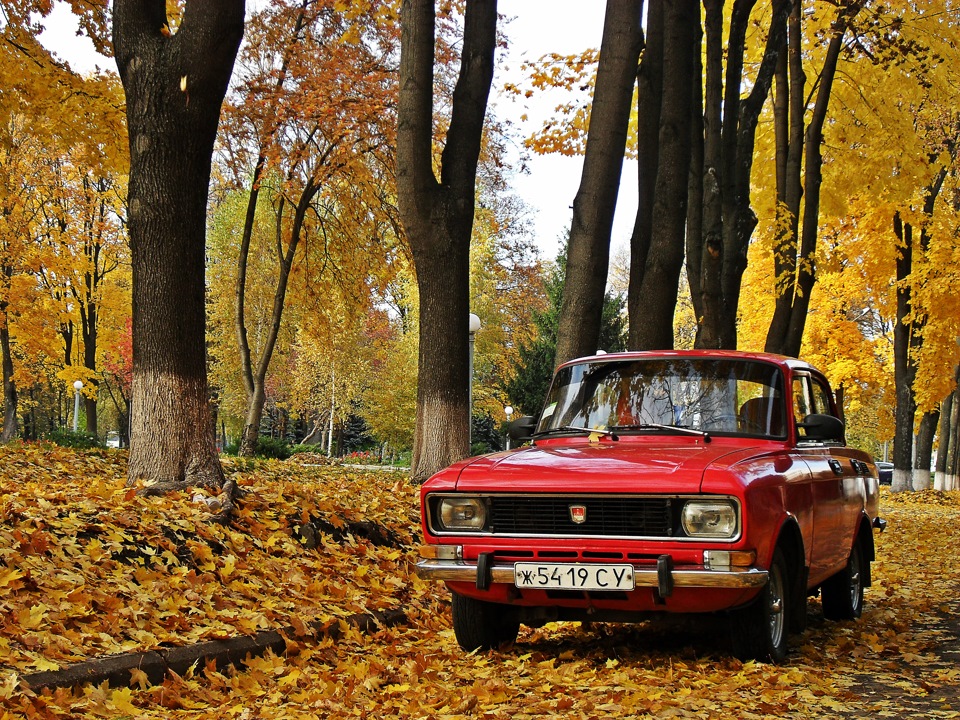 Осінній фотосет 2