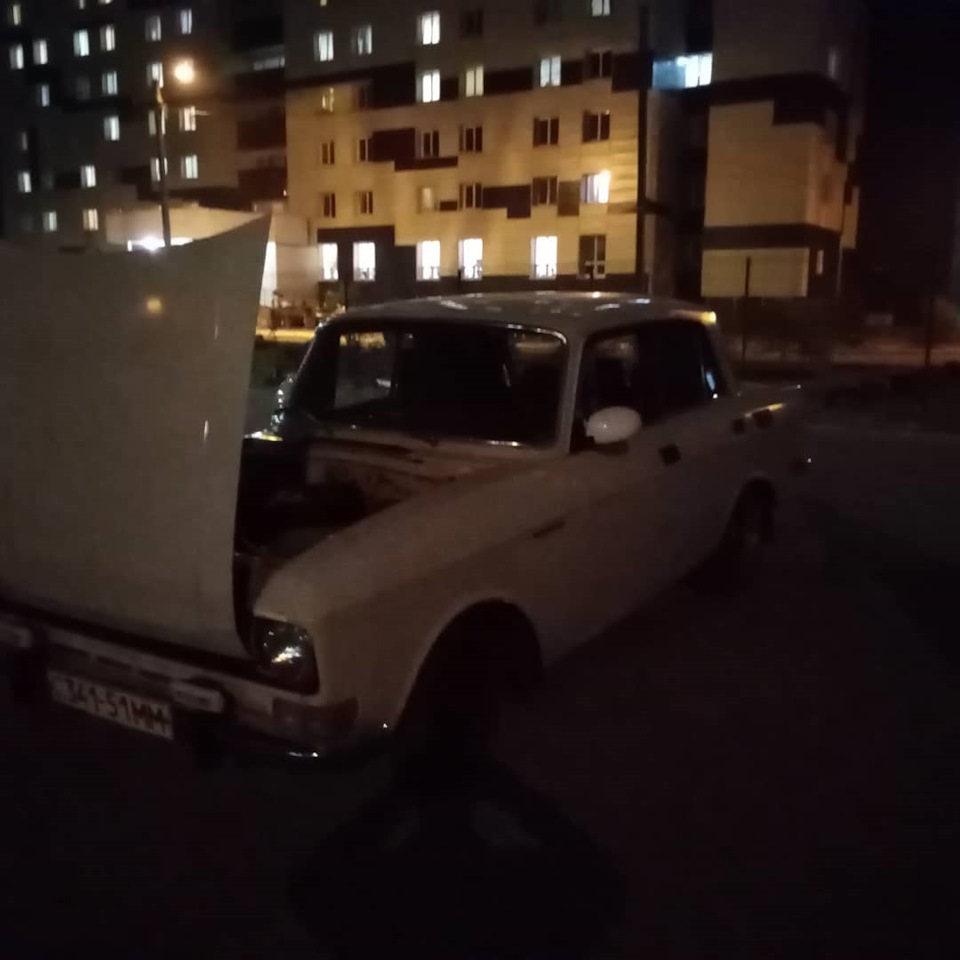 Як ви ставитеся до тварин? 2