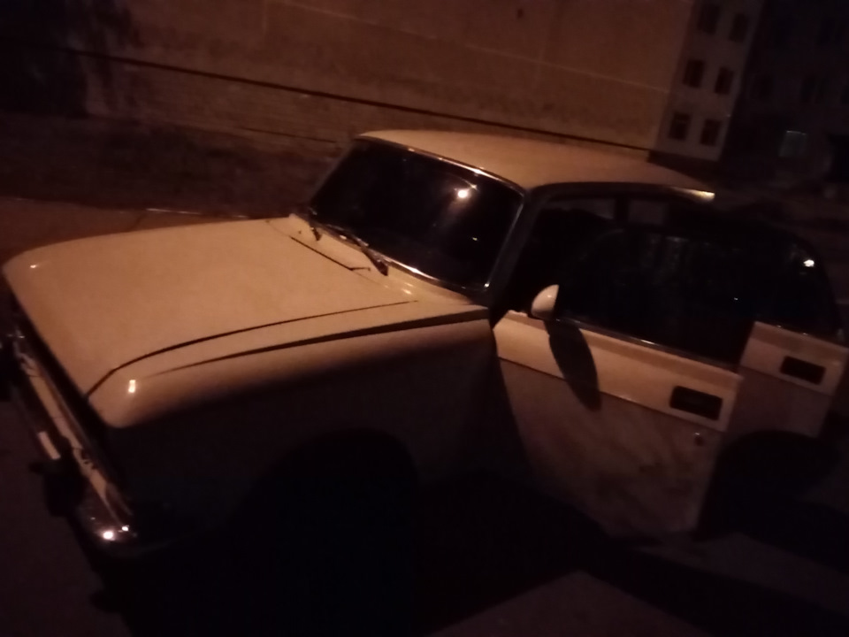 Як ви ставитеся до тварин? 4