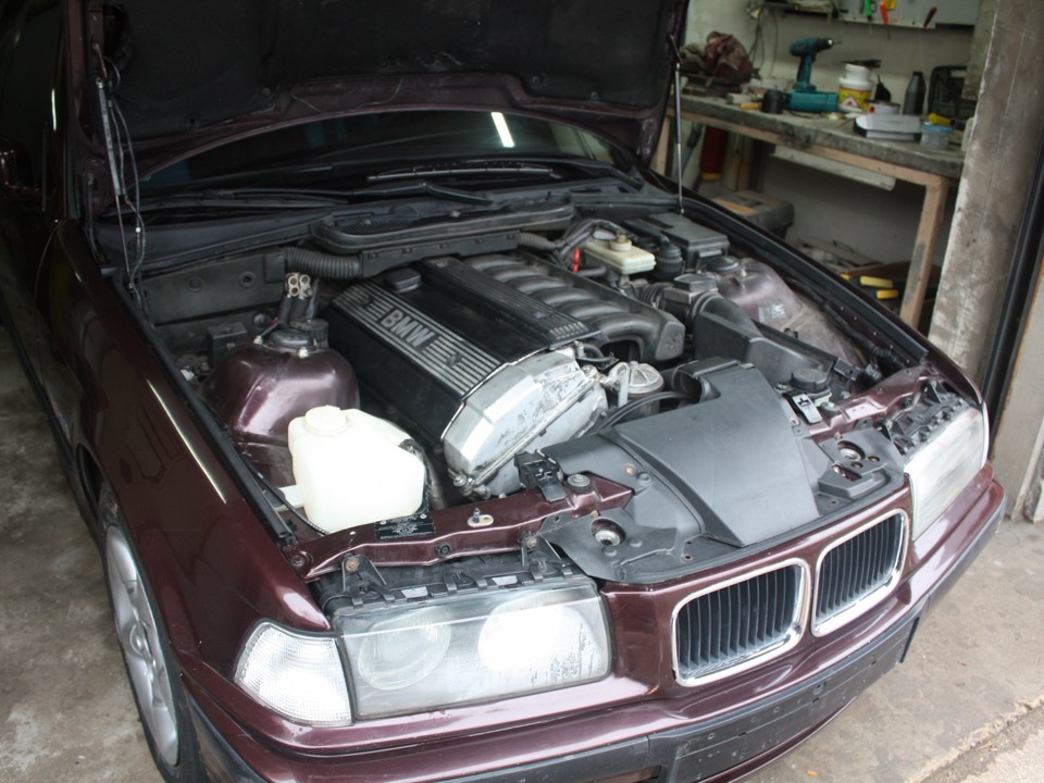 Донор до 2140 SL ТурбоПОРА! 1