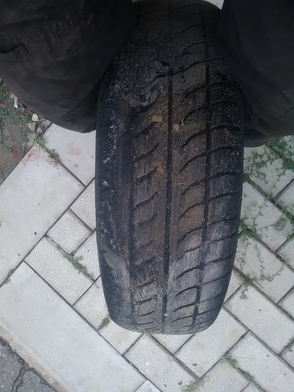 Сірі літні будні. 2