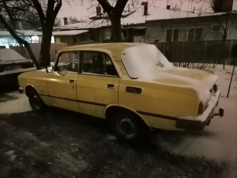 Мося в снігу 1