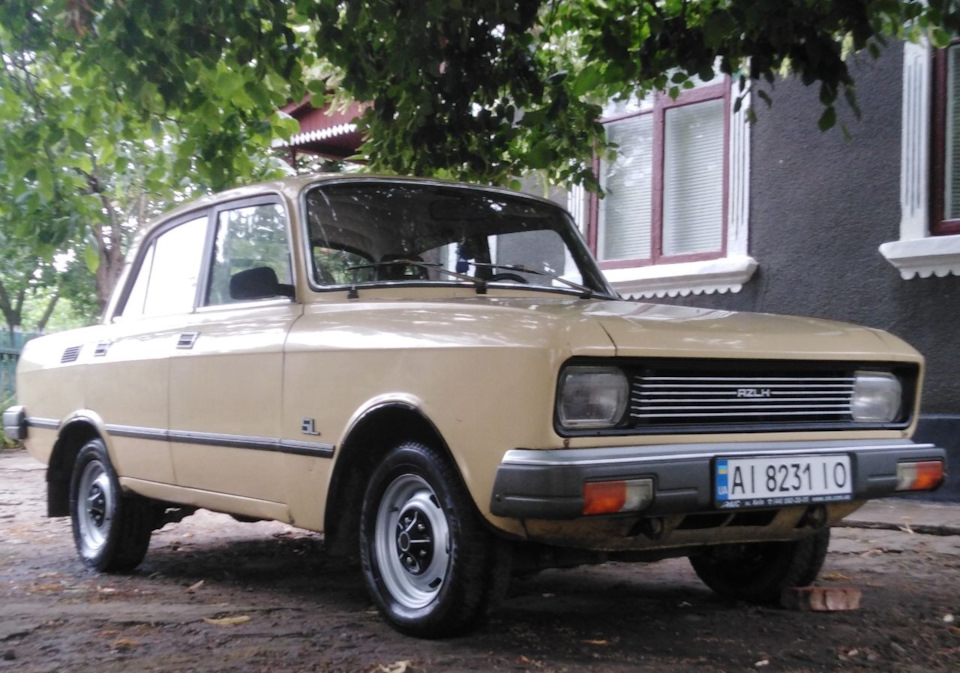Всім подарунок ✌️ 1