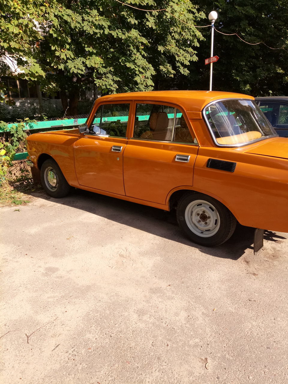 Літній сезон 2019 1