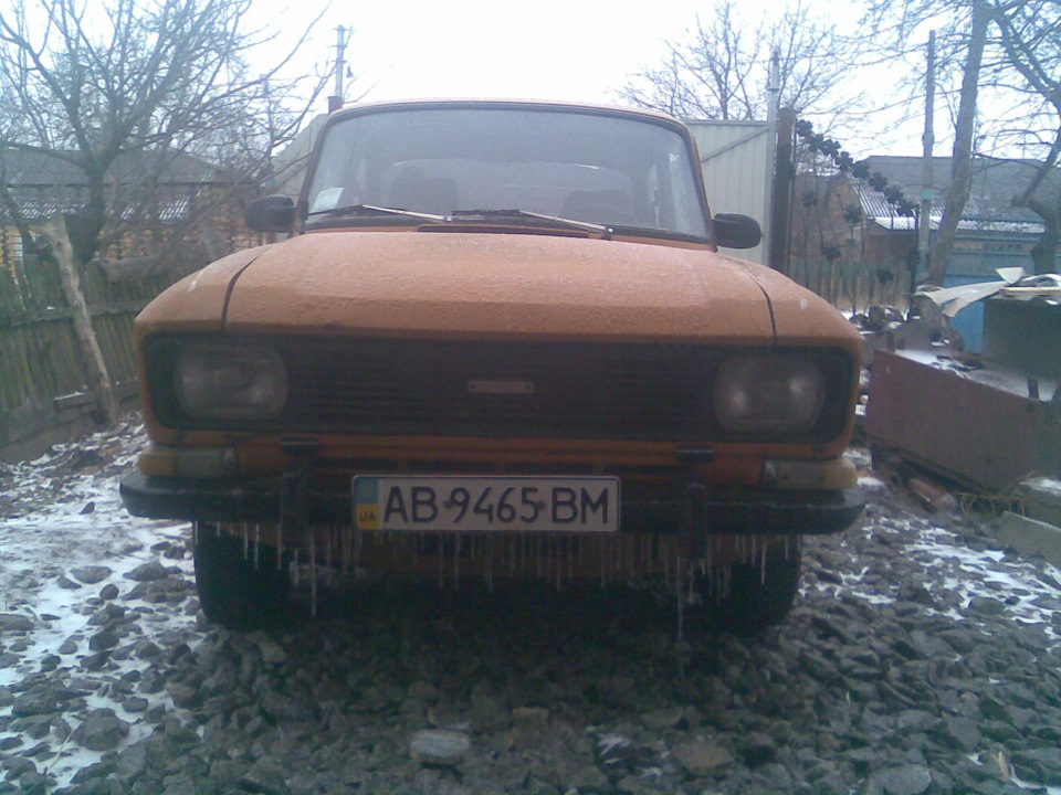 Бородатий :) 1