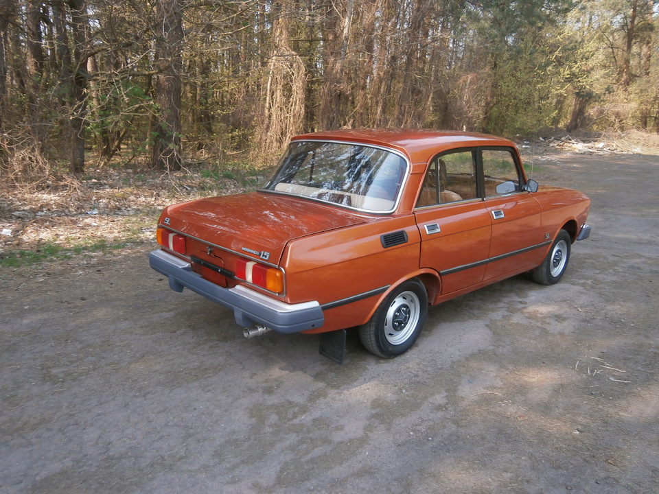 фото авто на природі 4 1