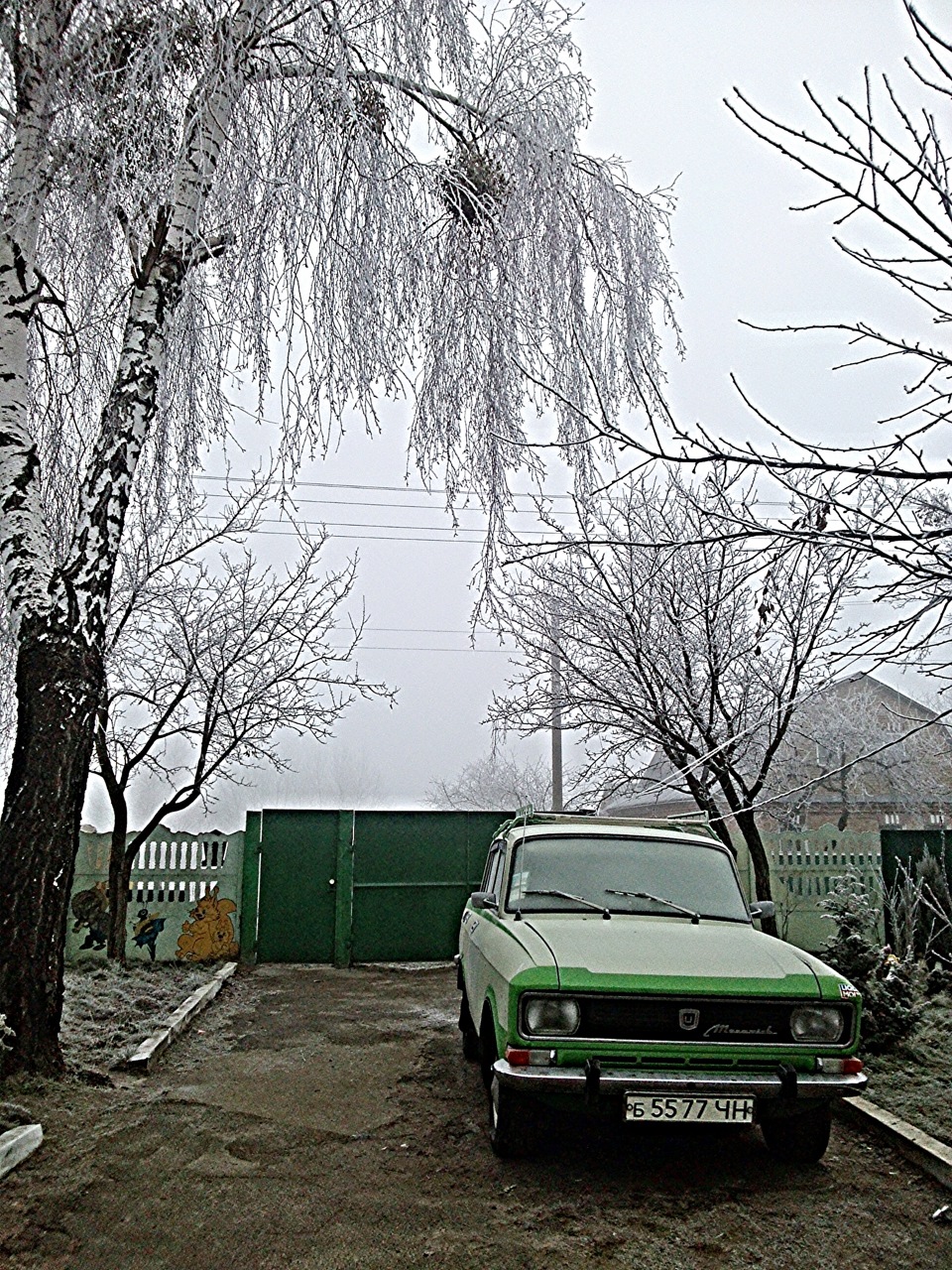 Просто фото) 2
