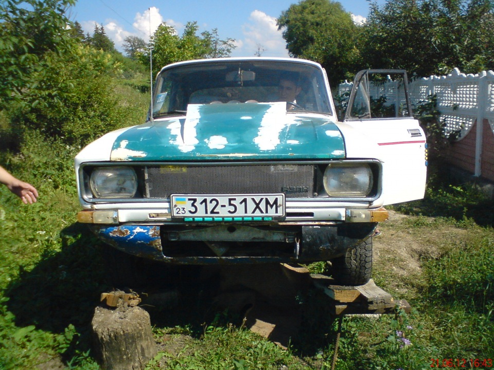 мустанг коришу 1
