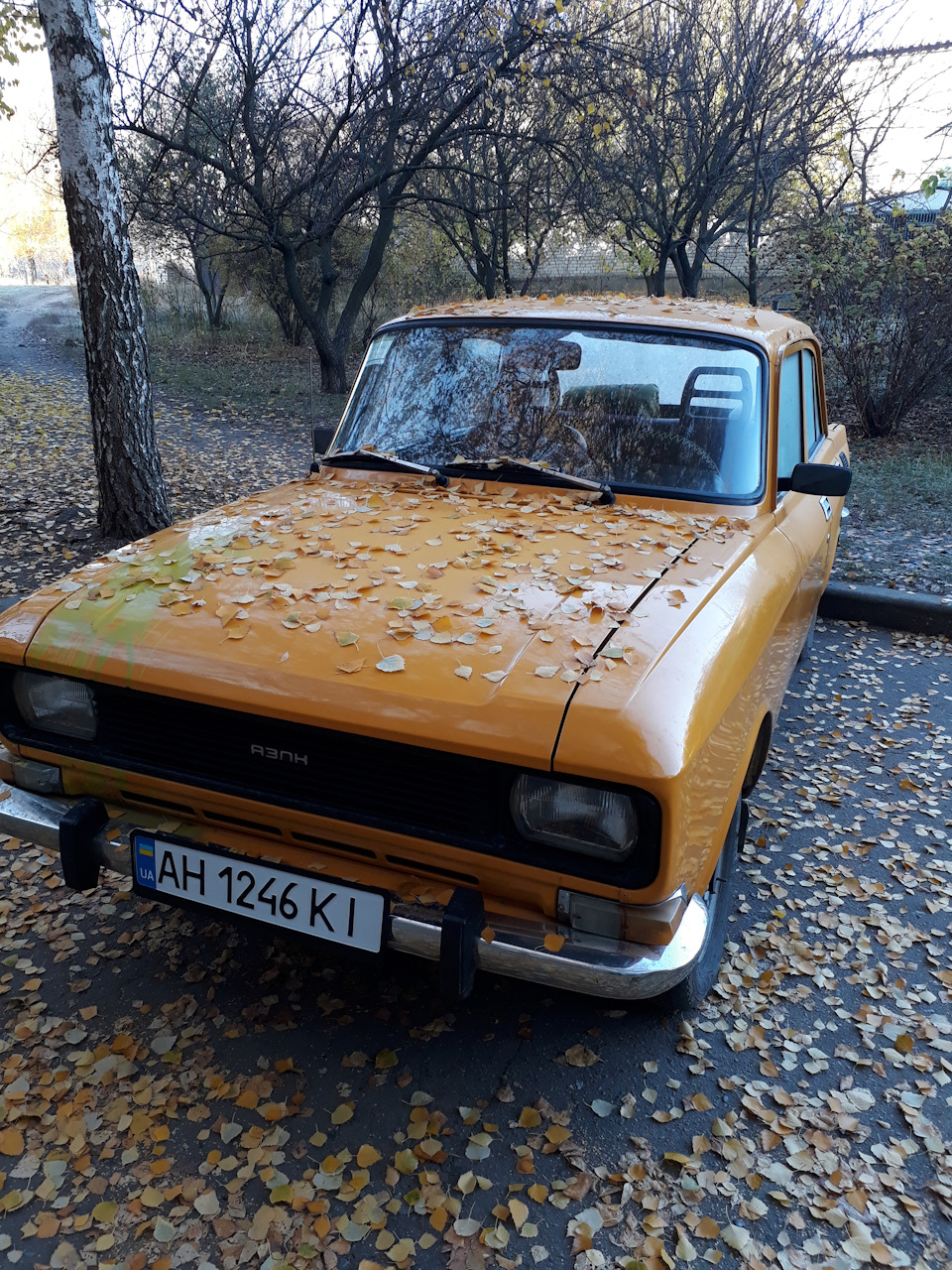 Підготовка до холодів. Система охолодження 1