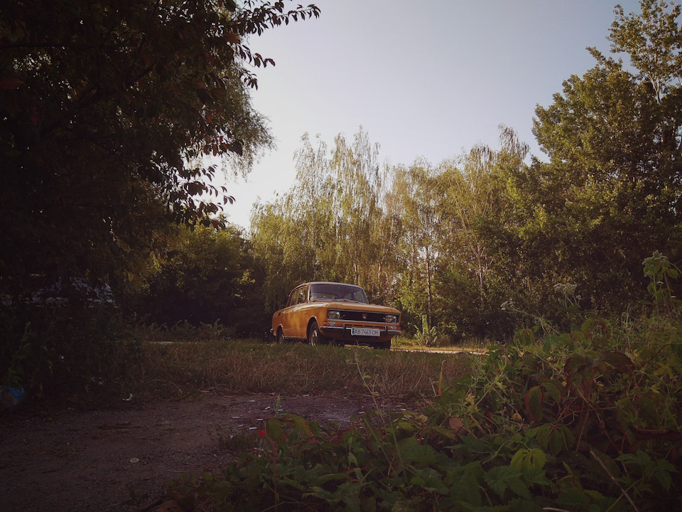Майже Автоекспорт 2