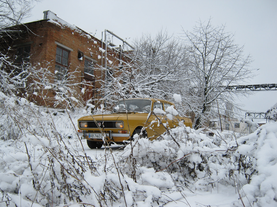 Сховався :) 1