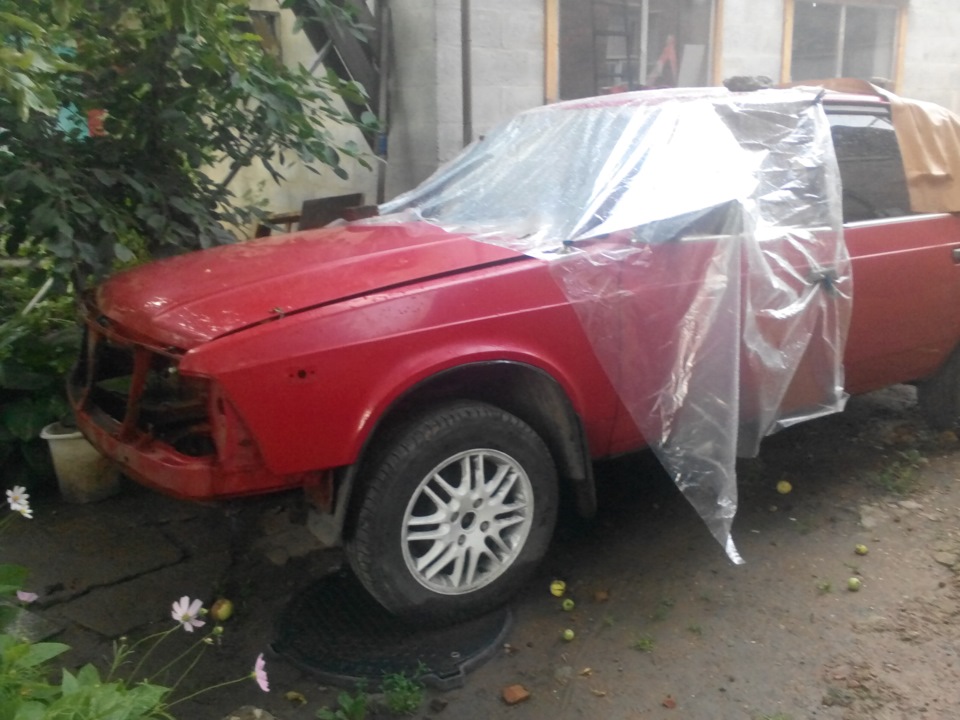 Помідорчик у сплячці 1