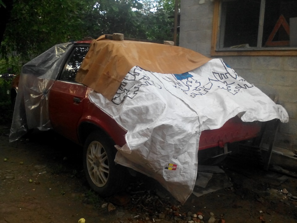 Помідорчик у сплячці 2