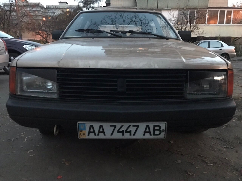 Бід лук за пів години 1