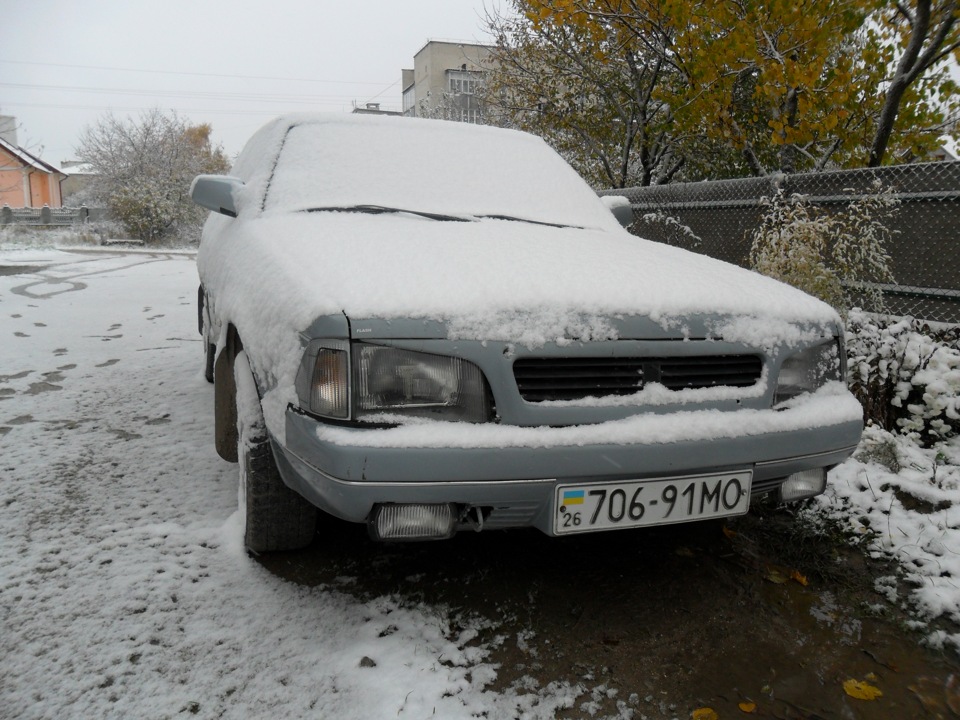 Перший сніг! 1