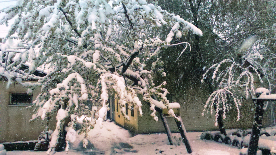 19 квітня. зима?))) 5