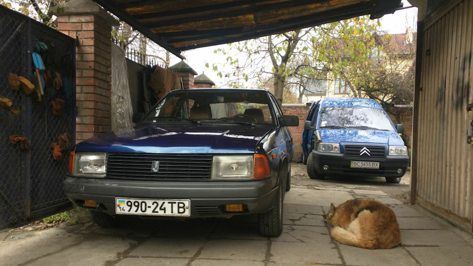 Туман 1
