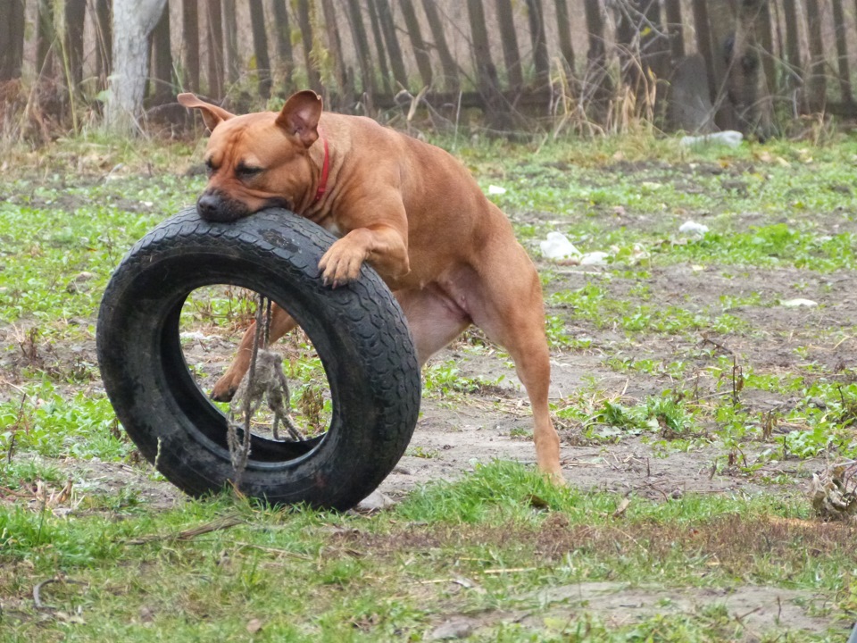 З Днем автомобіліста!)) 1