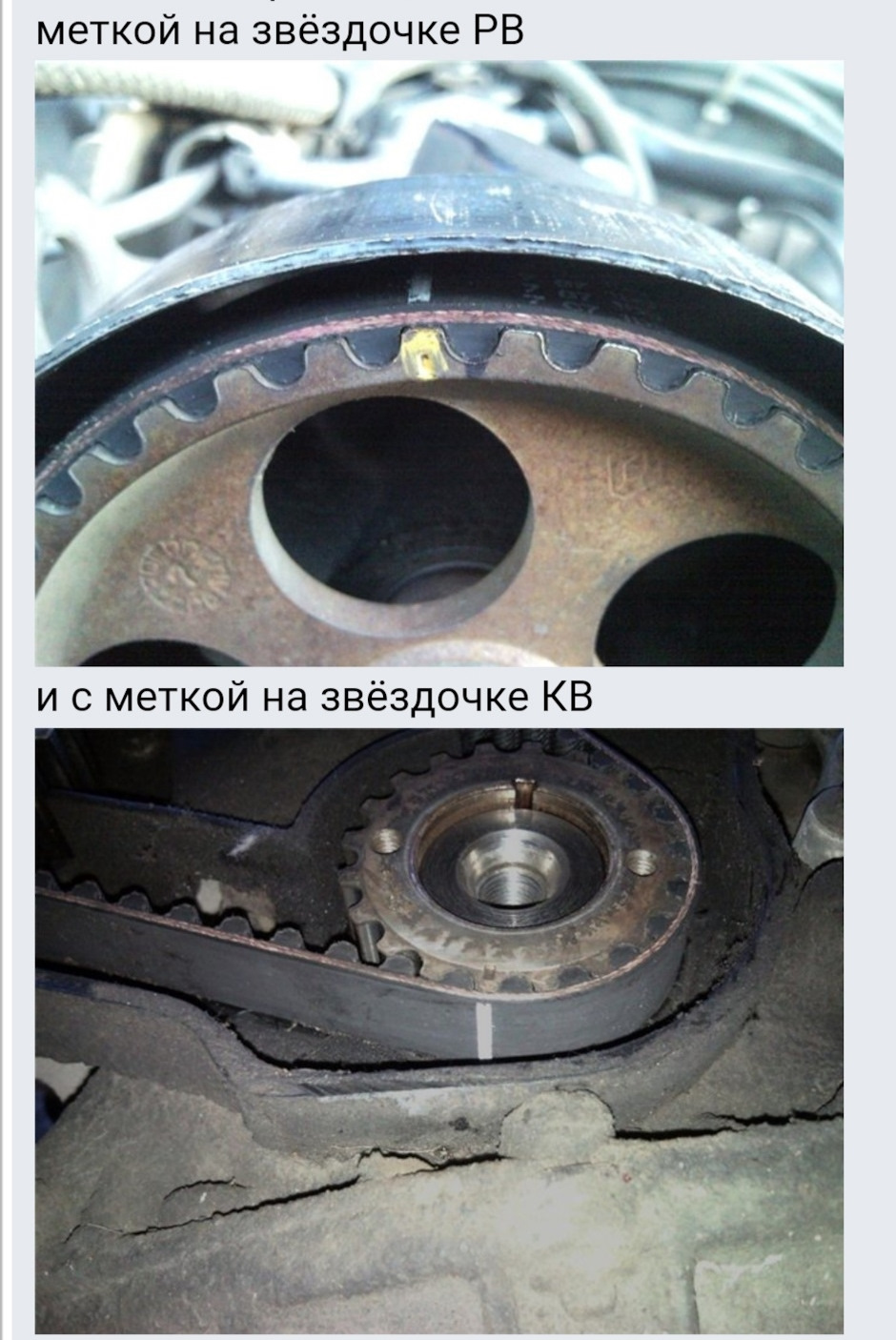 Сальники, грм f3r 1