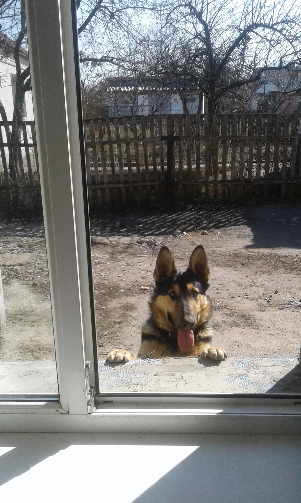 Нема про що