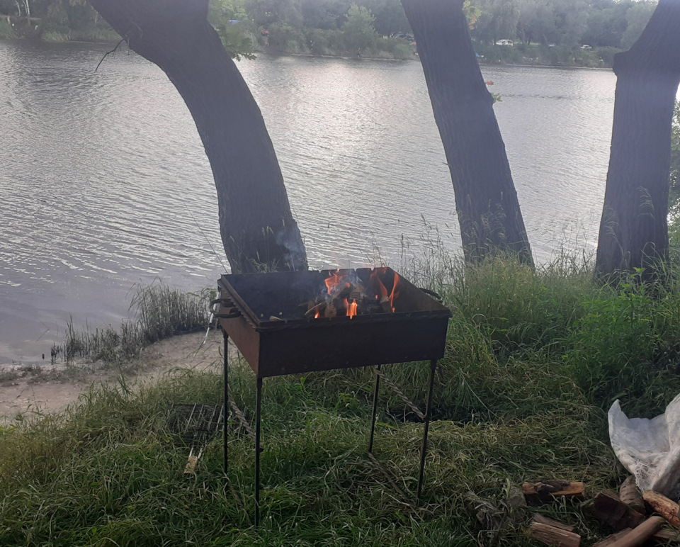 З'їздили погодувати рибу. Потім тепло. 3