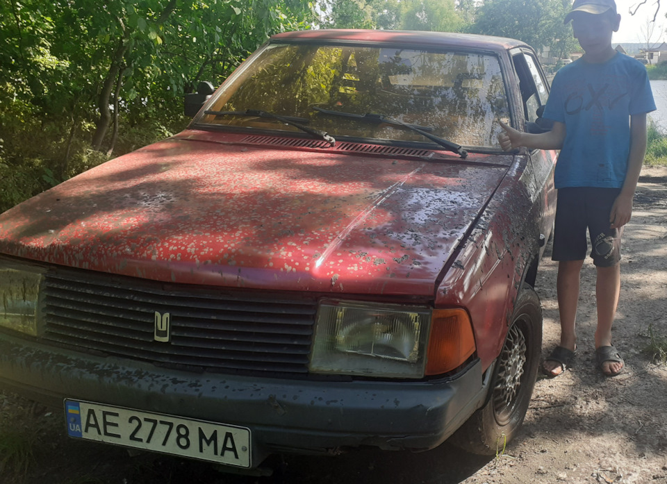 З'їздили погодувати рибу. Потім тепло. 2