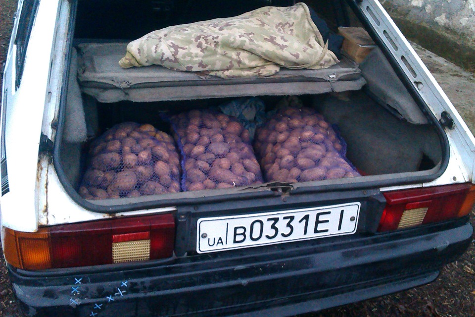Поїздка до села 1