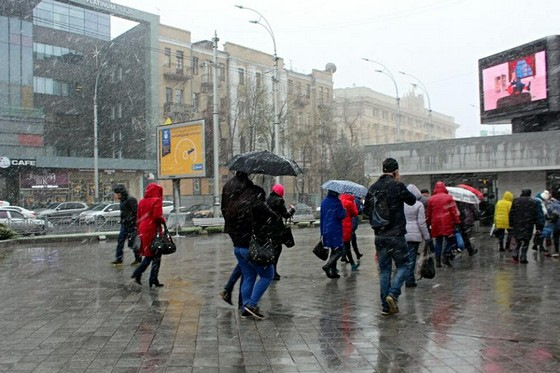 58 папуг, або руйнуємо міфи разом! 1