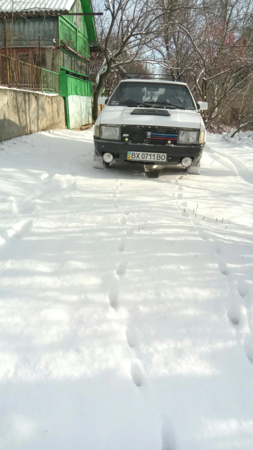Перший сніг.