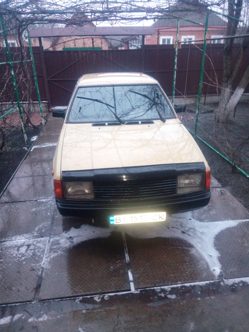Помил красеня 1