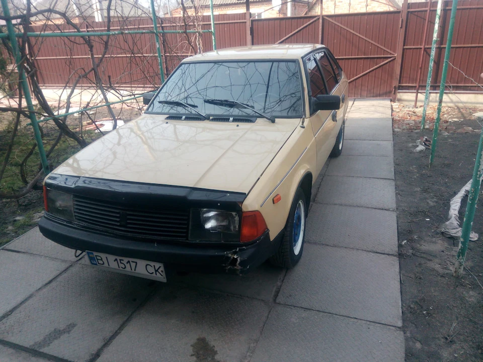 Продаю мосяна