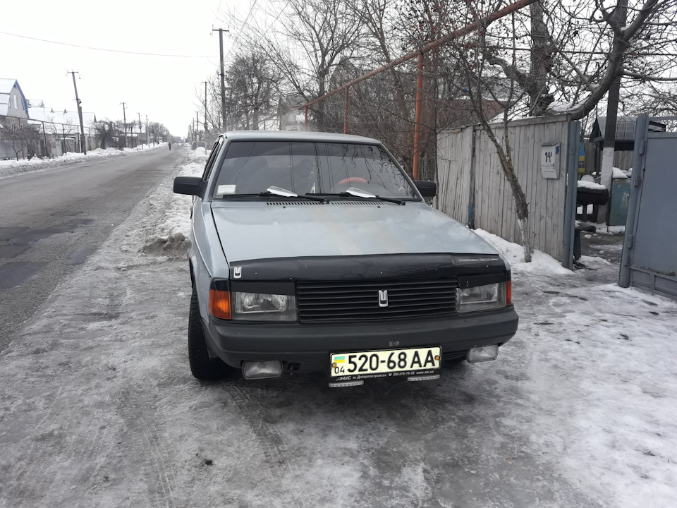Бзікі мосі або як я їздив за подарунком для нього 4