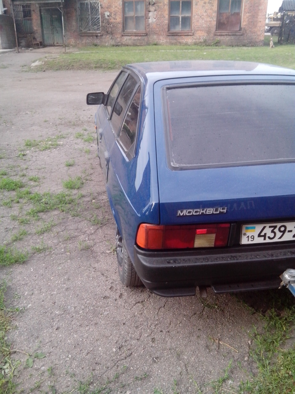Палтарашка знову в строю)) 4