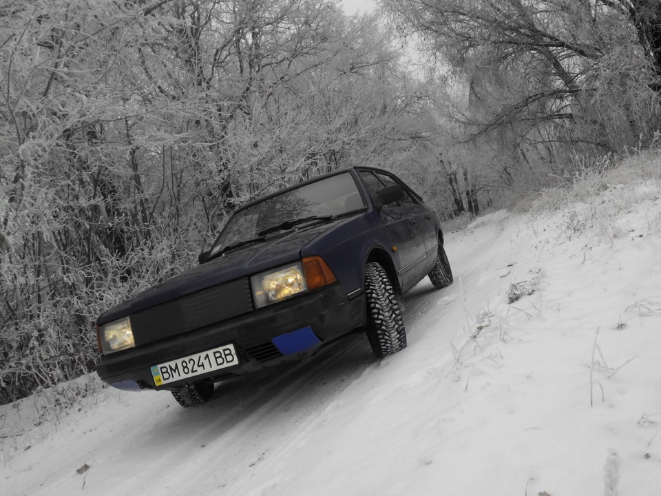 Зимовий ліс та Палтарашка 2