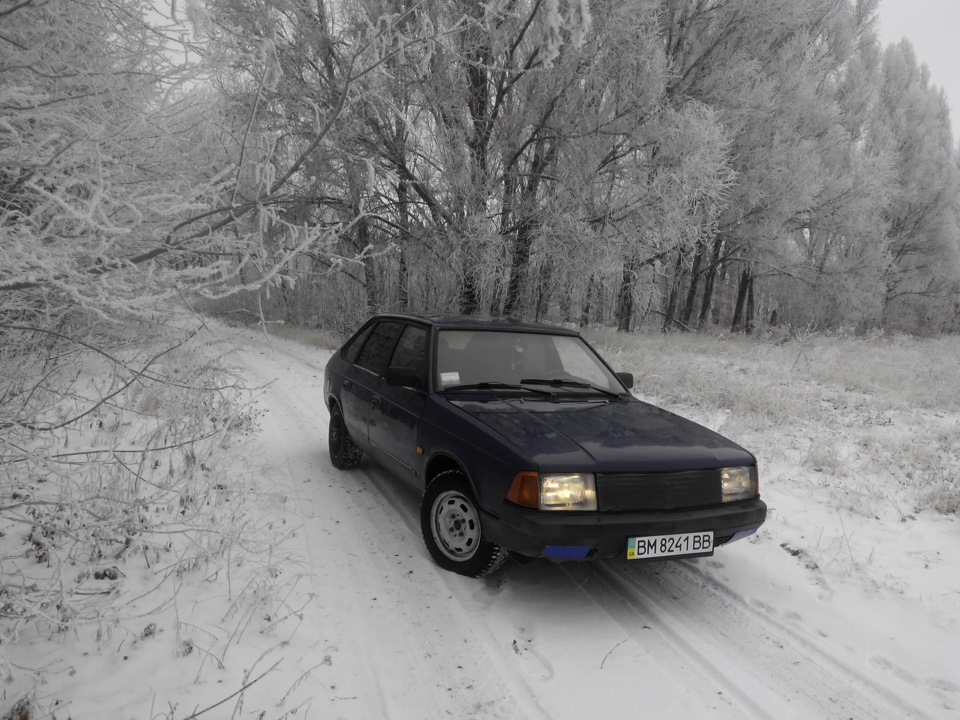 Зимовий ліс та Палтарашка 3
