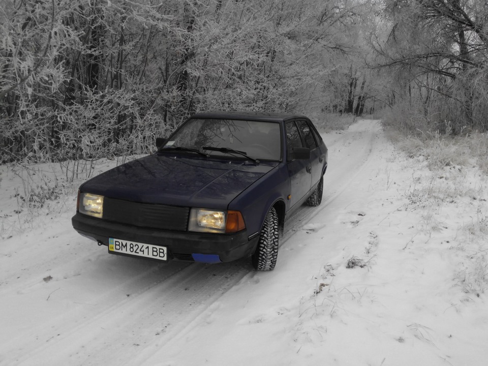 Зимовий ліс та Палтарашка 1