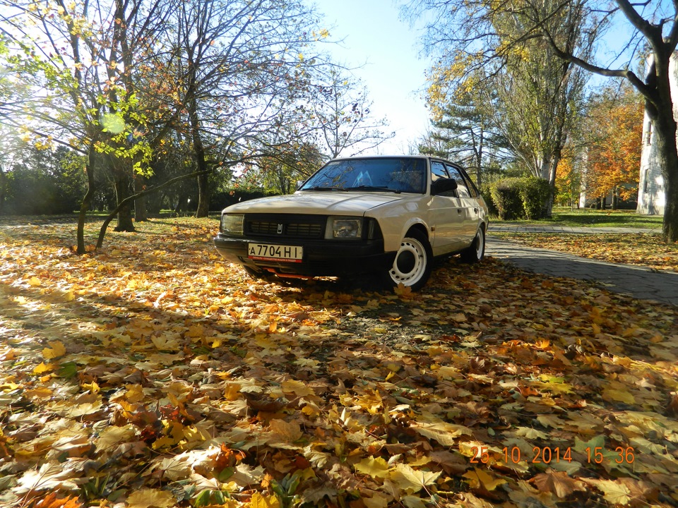 Осінні фоточки. Сонце. і - 4 градуси) 1