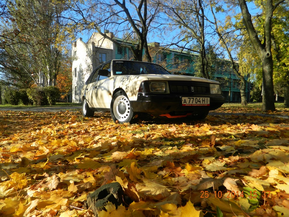 Осінні фоточки. Сонце. і - 4 градуси) 3