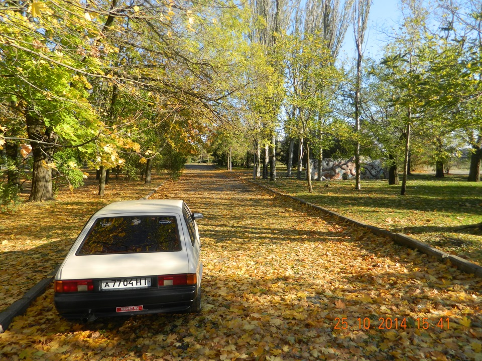 Осінні фоточки. Сонце. і - 4 градуси) 5