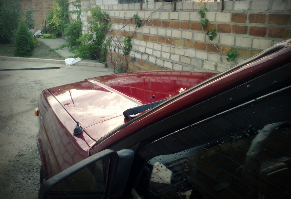 Нові фотографії 4