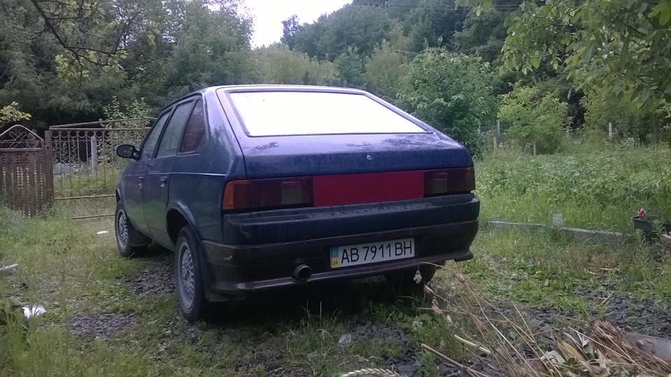Варіант дупи косміча. 1