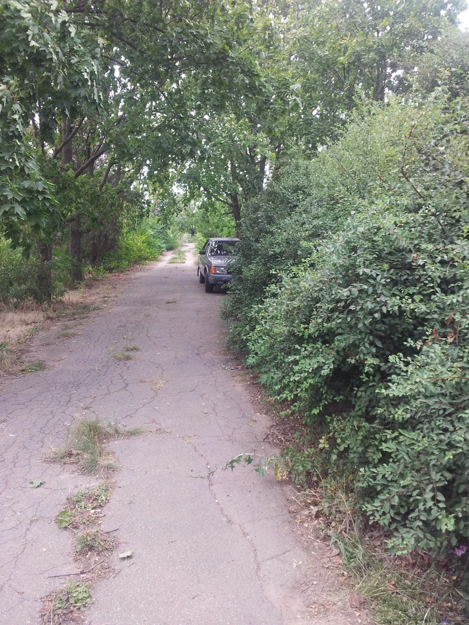 Вибралися за місто