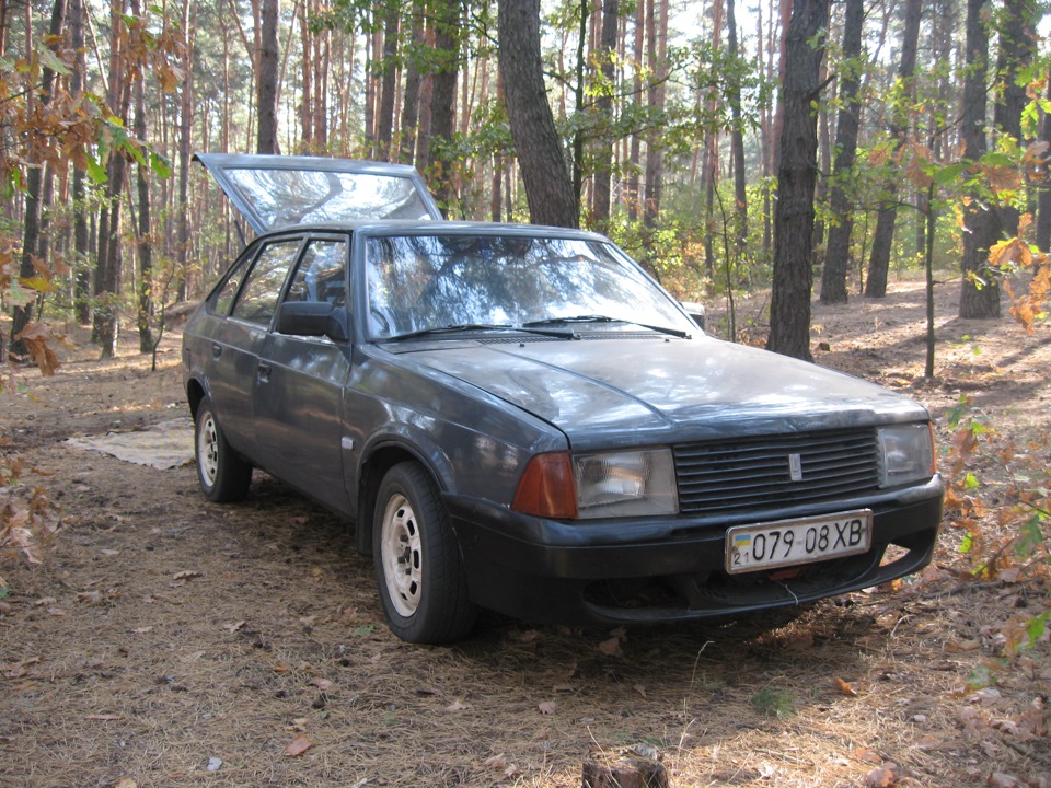 продам ластівку 1