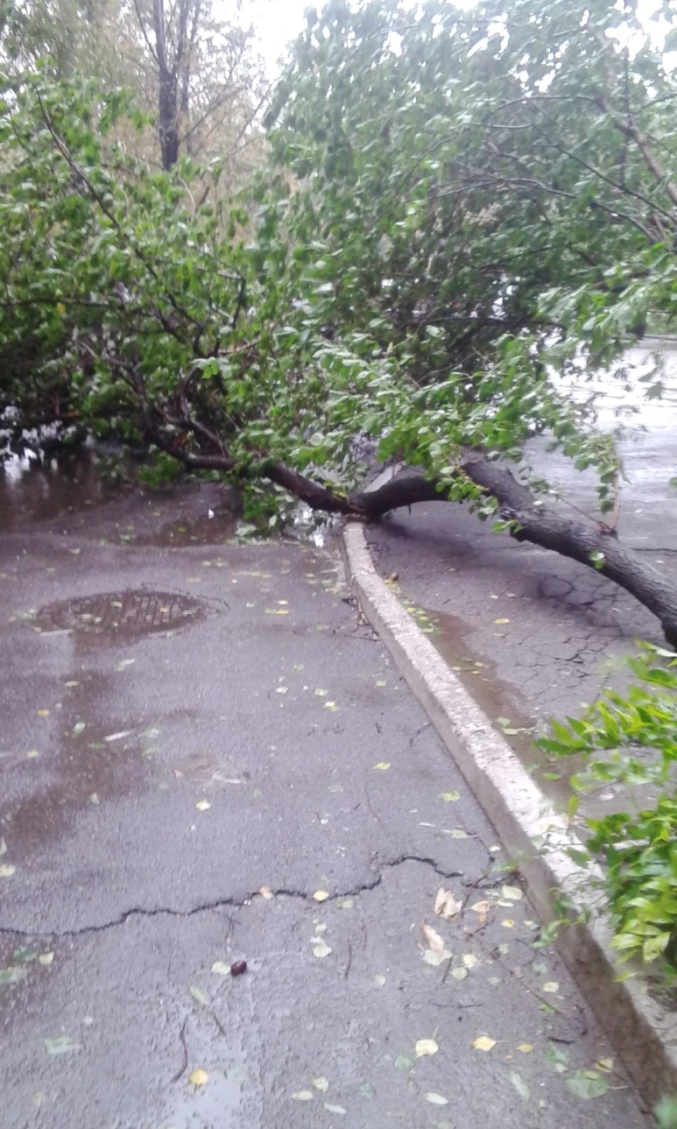 Війна в Дніпропетровську або погоду нам не підкорити)