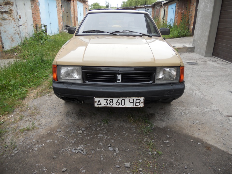 трохи фото після миття 5