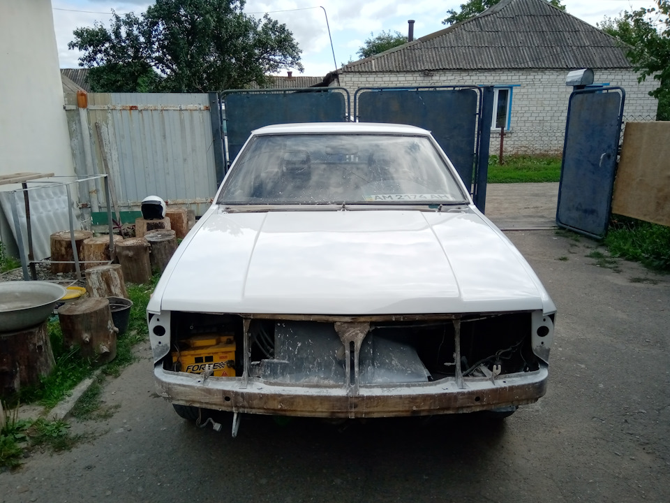 Білий російський, дуже білий. 3