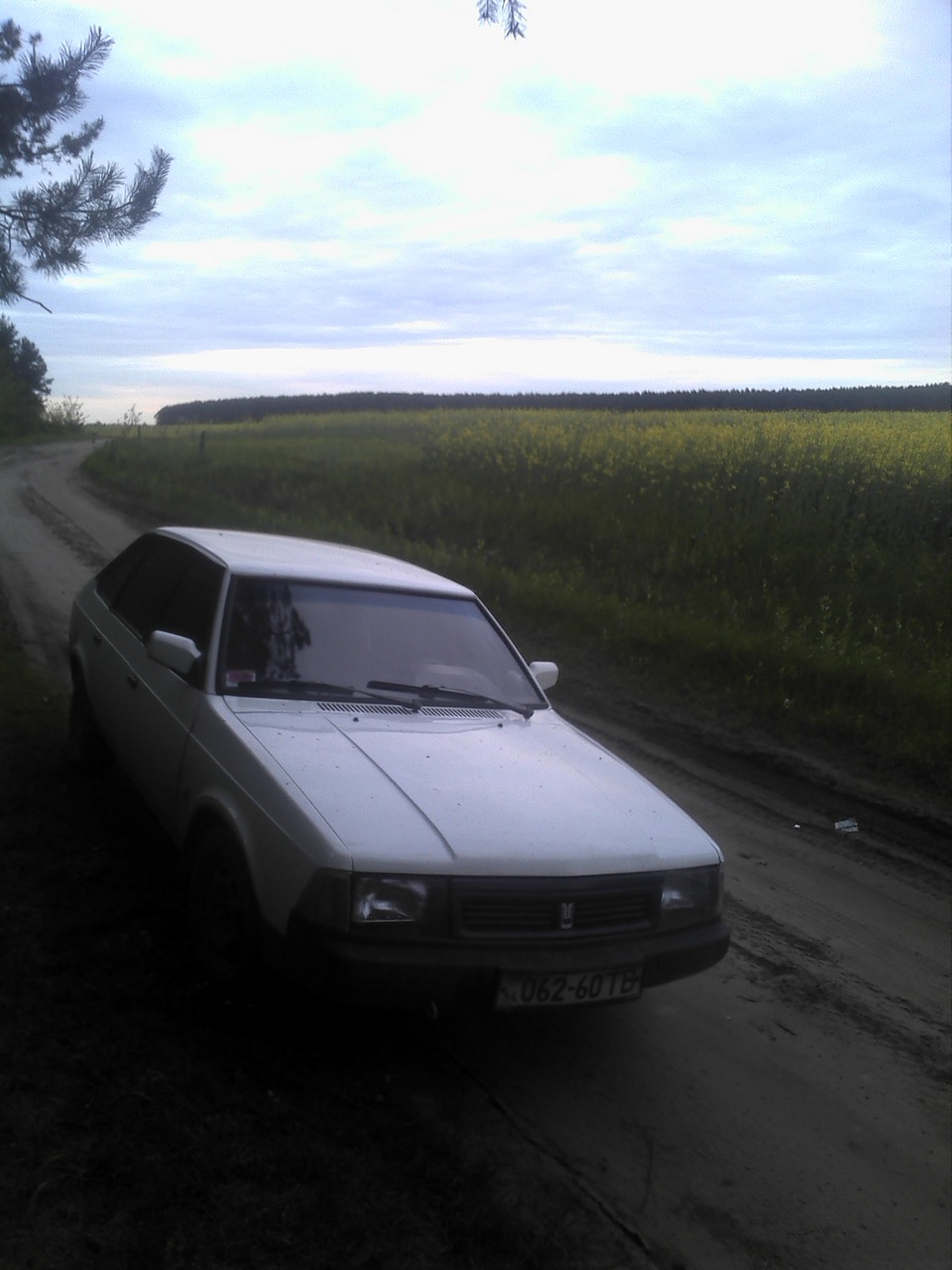 Просто парочка свіжих фоток 2