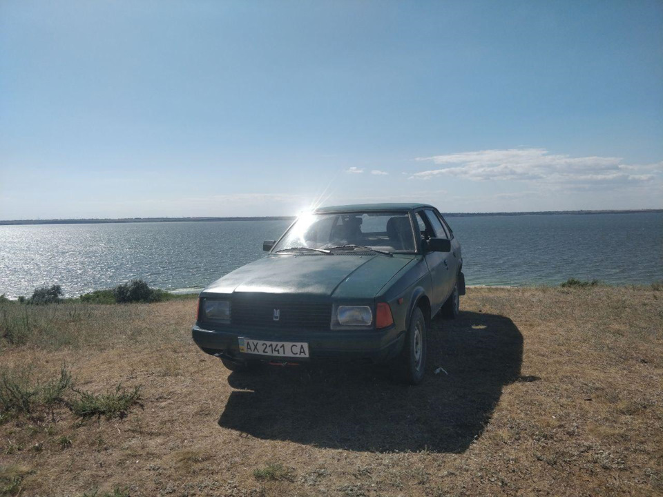 Чверть газелі 4