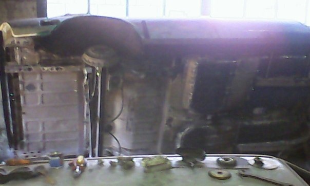 Я відчув запах кицьки 3